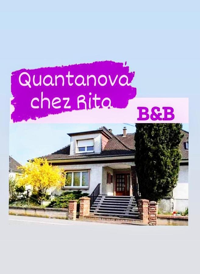 Bischwiller B&B Quantanova Chez Rita المظهر الخارجي الصورة